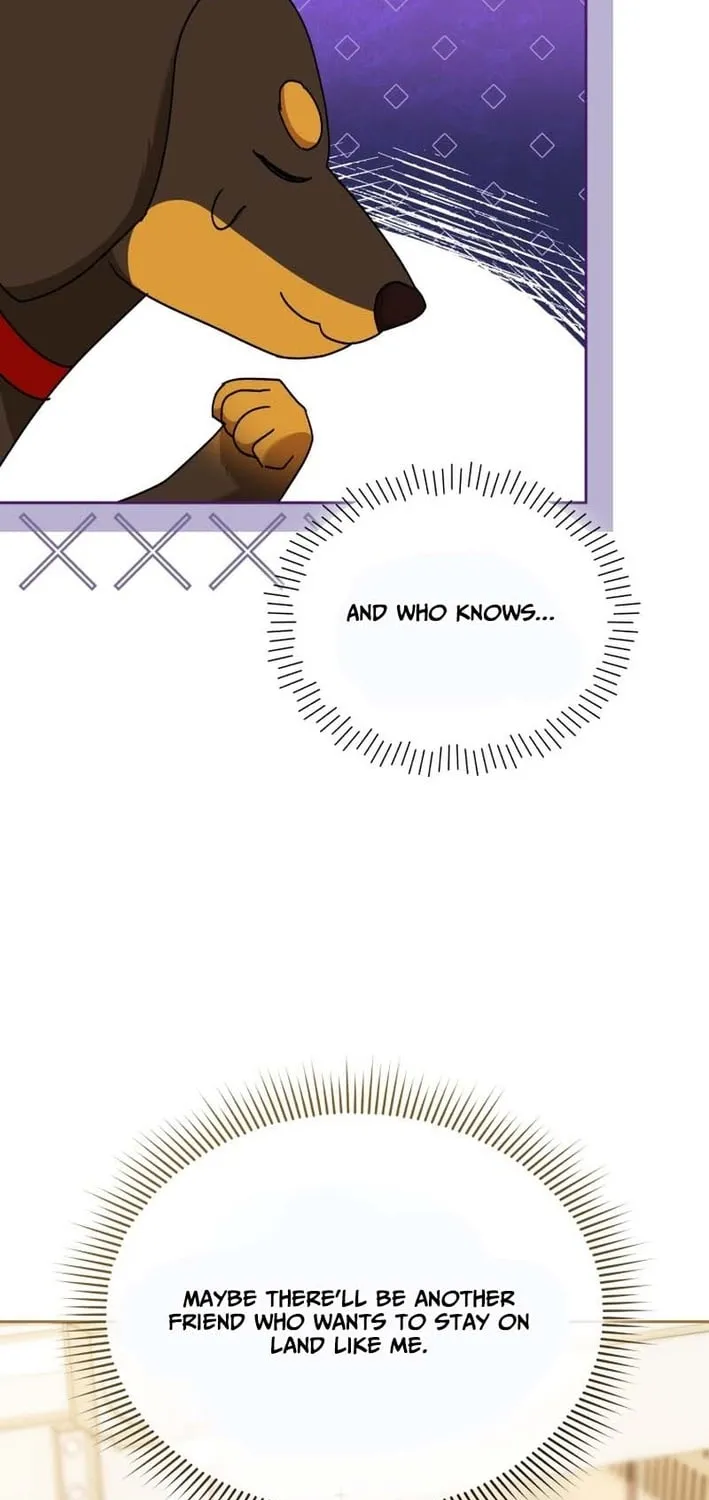 Read Hello, Mr. Veterinarian! chapter 129 image 26 on Lezhin