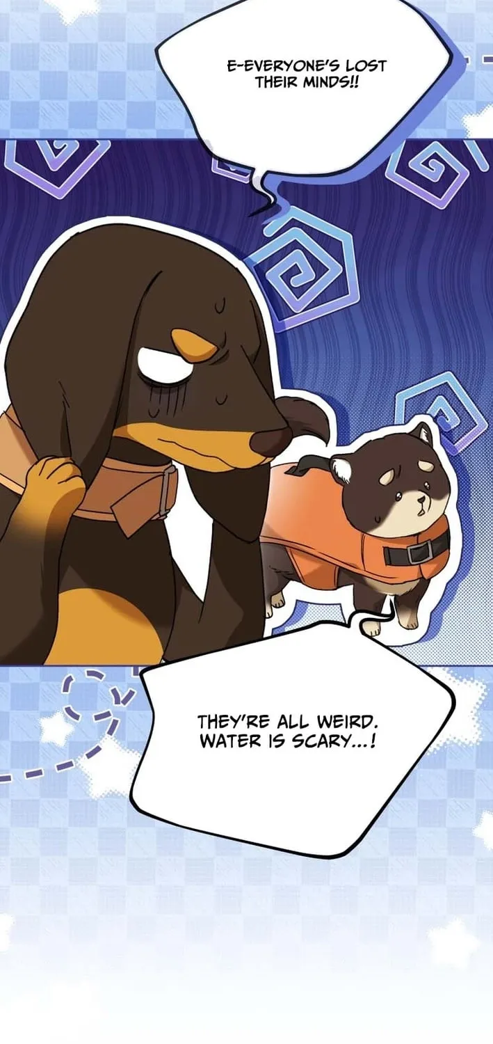 Read Hello, Mr. Veterinarian! chapter 129 image 34 on Lezhin