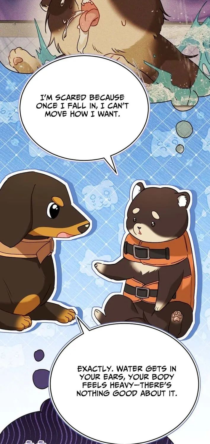 Read Hello, Mr. Veterinarian! chapter 129 image 37 on Lezhin