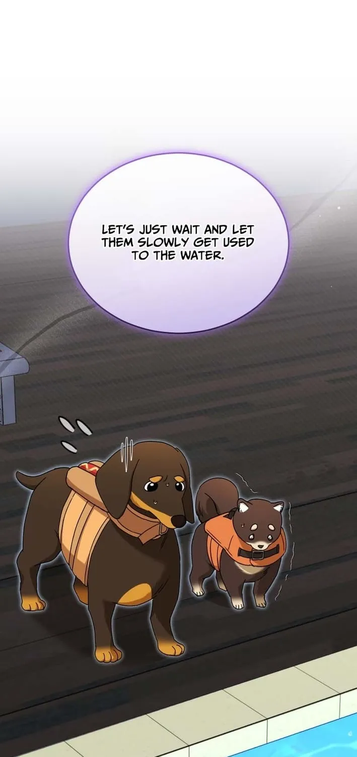Read Hello, Mr. Veterinarian! chapter 129 image 48 on Lezhin