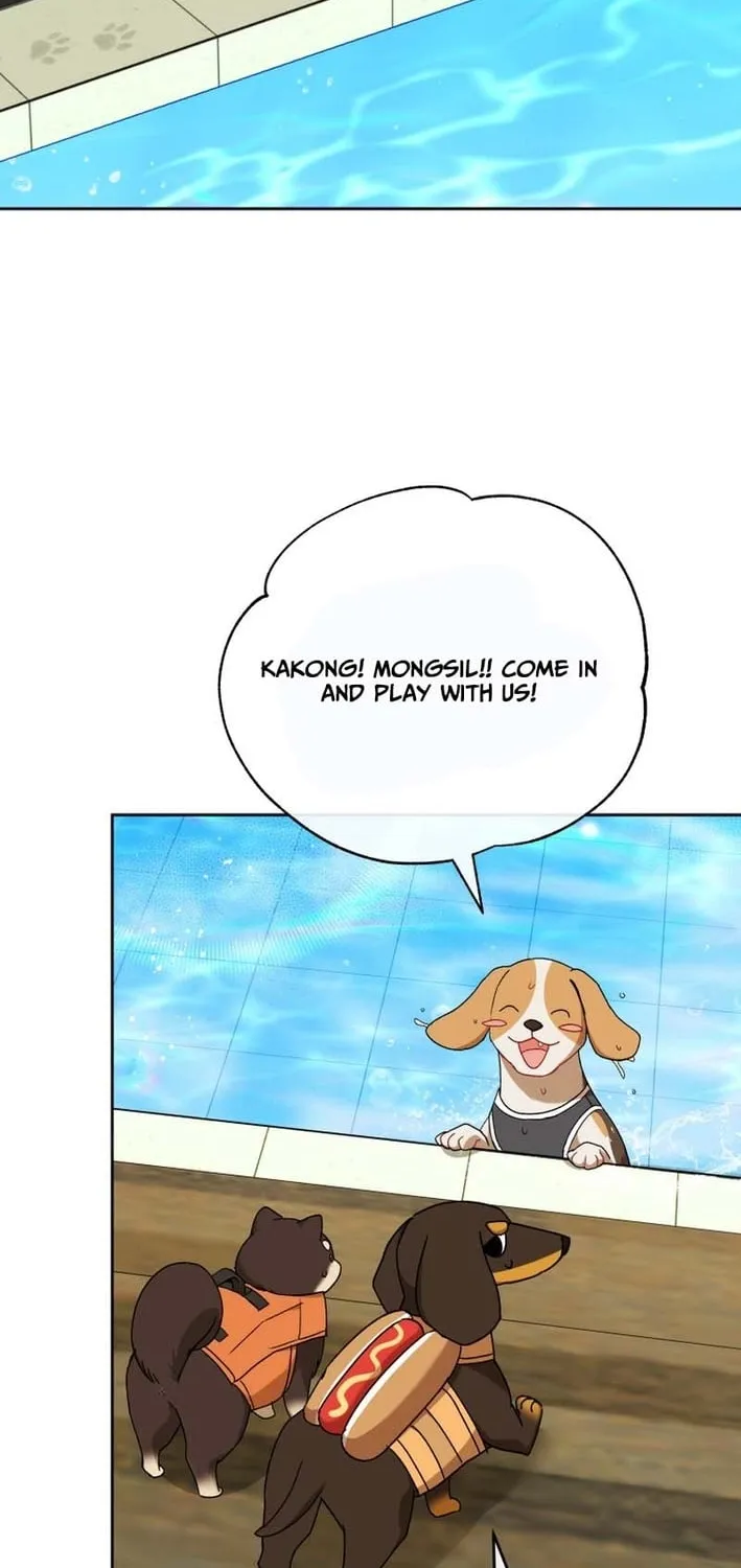 Read Hello, Mr. Veterinarian! chapter 129 image 49 on Lezhin