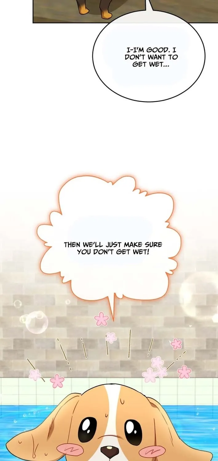 Read Hello, Mr. Veterinarian! chapter 129 image 50 on Lezhin