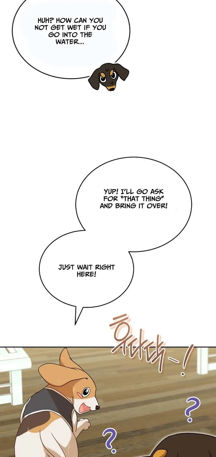 Read Hello, Mr. Veterinarian! chapter 129 image 52 on Lezhin