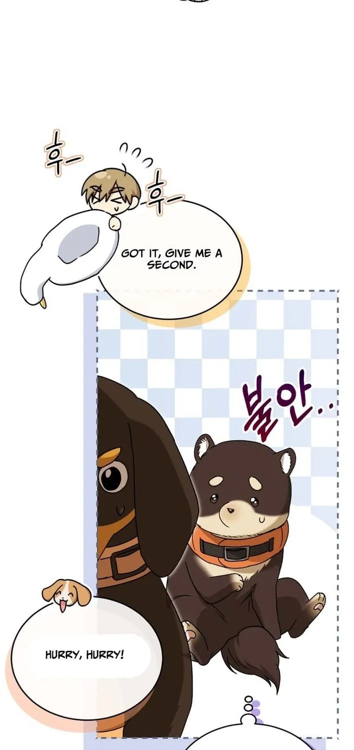 Read Hello, Mr. Veterinarian! chapter 129 image 56 on Lezhin