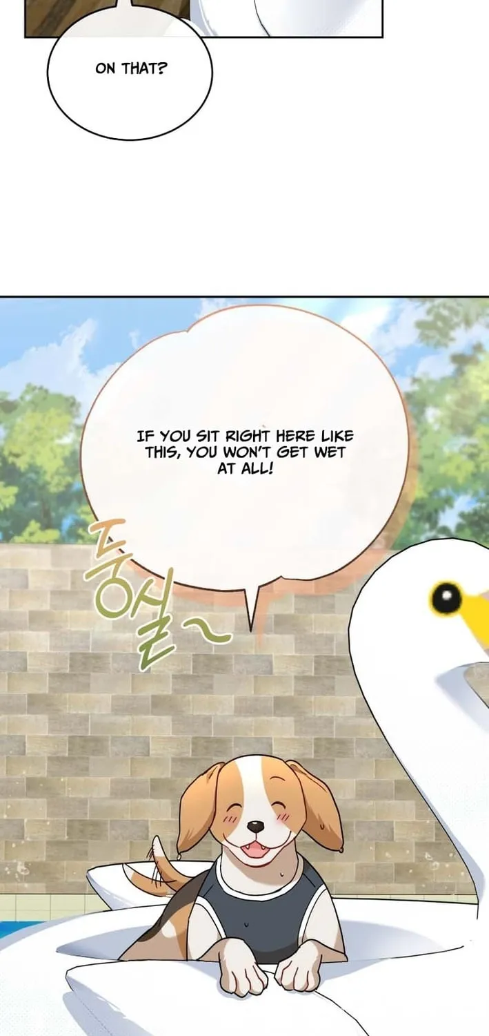 Read Hello, Mr. Veterinarian! chapter 129 image 60 on Lezhin