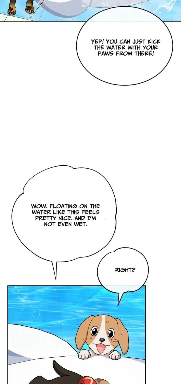 Read Hello, Mr. Veterinarian! chapter 129 image 62 on Lezhin