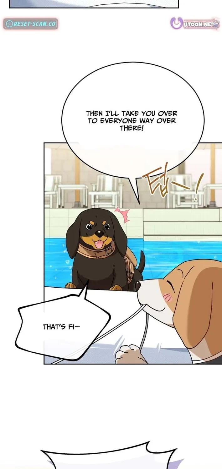Read Hello, Mr. Veterinarian! chapter 129 image 64 on Lezhin