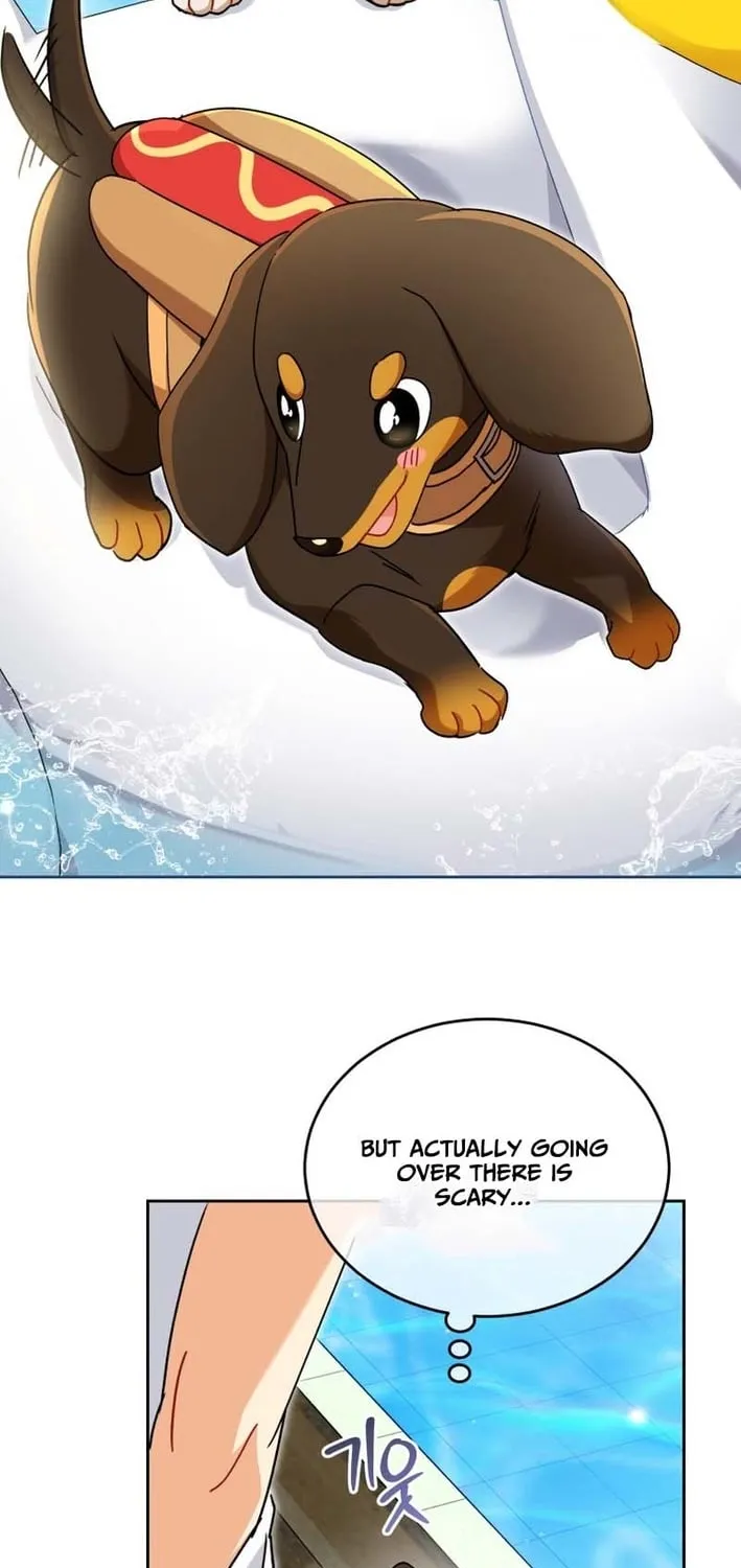 Read Hello, Mr. Veterinarian! chapter 129 image 68 on Lezhin