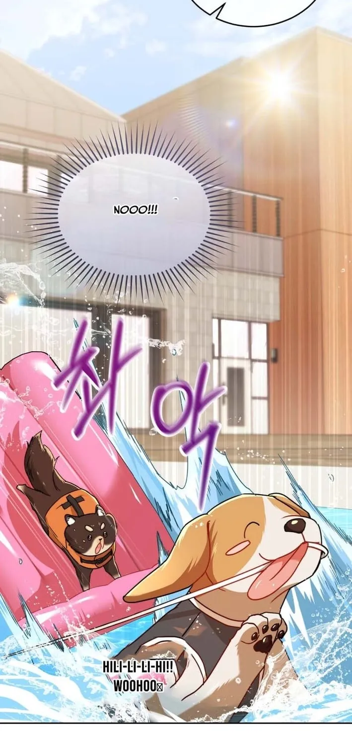 Read Hello, Mr. Veterinarian! chapter 129 image 82 on Lezhin