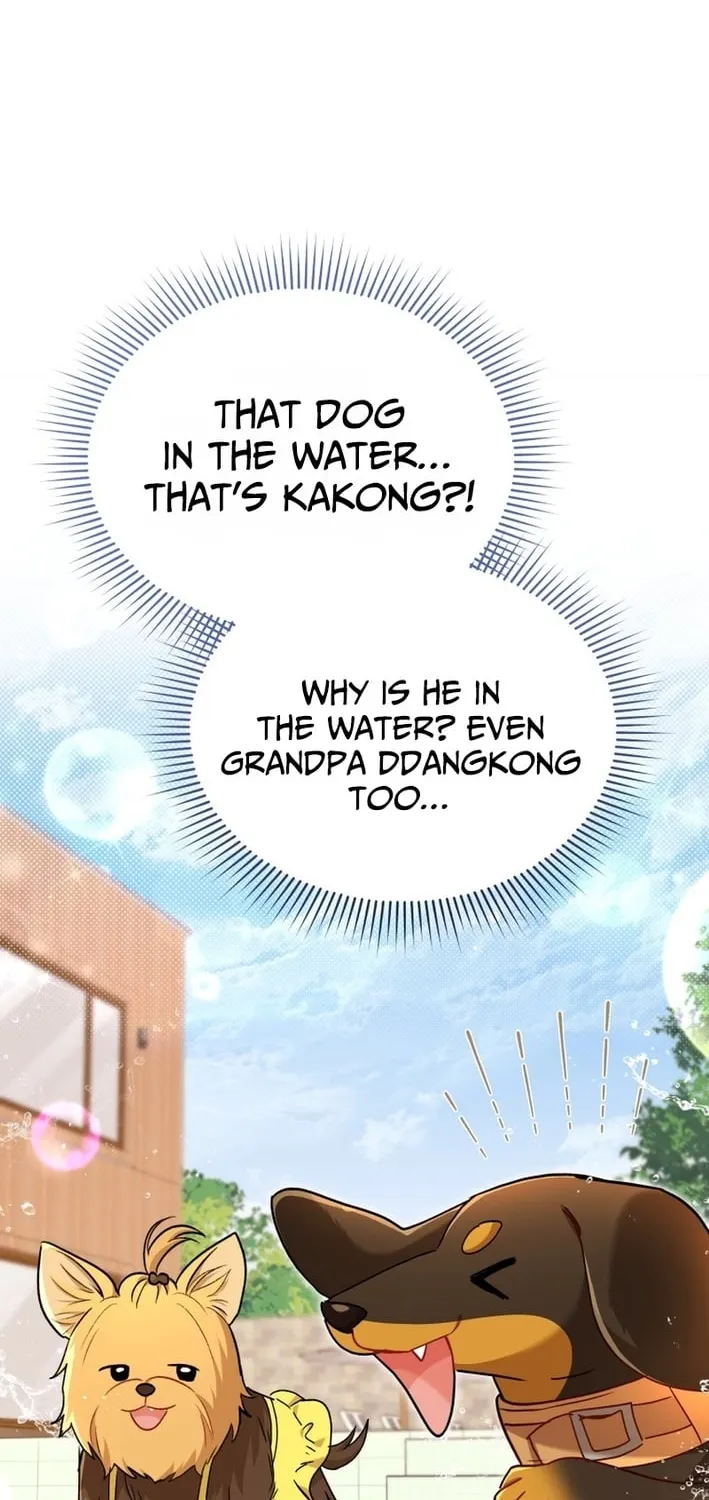 Read Hello, Mr. Veterinarian! chapter 130 image 37 on Lezhin