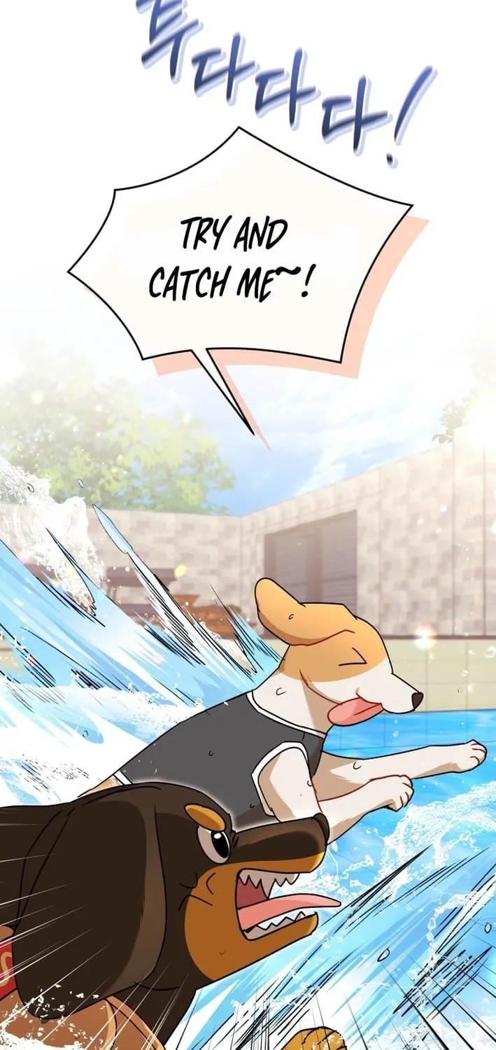 Read Hello, Mr. Veterinarian! chapter 130 image 40 on Lezhin