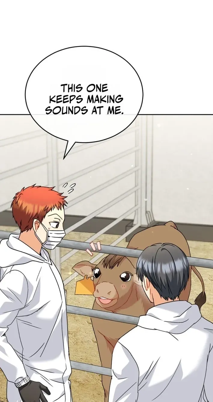 Read Hello, Mr. Veterinarian! chapter 135 image 27 on Lezhin