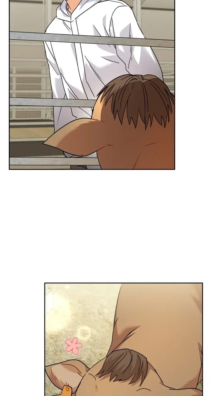 Read Hello, Mr. Veterinarian! chapter 135 image 35 on Lezhin