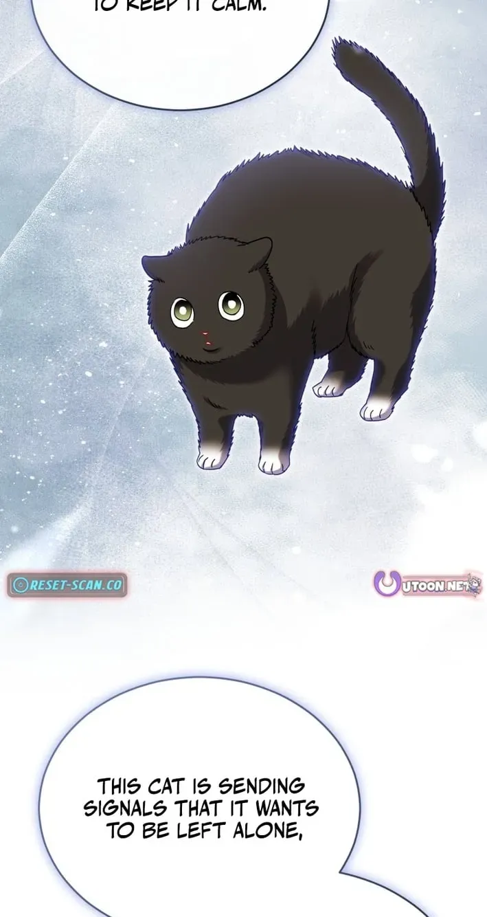 Read Hello, Mr. Veterinarian! chapter 136 image 10 on Lezhin