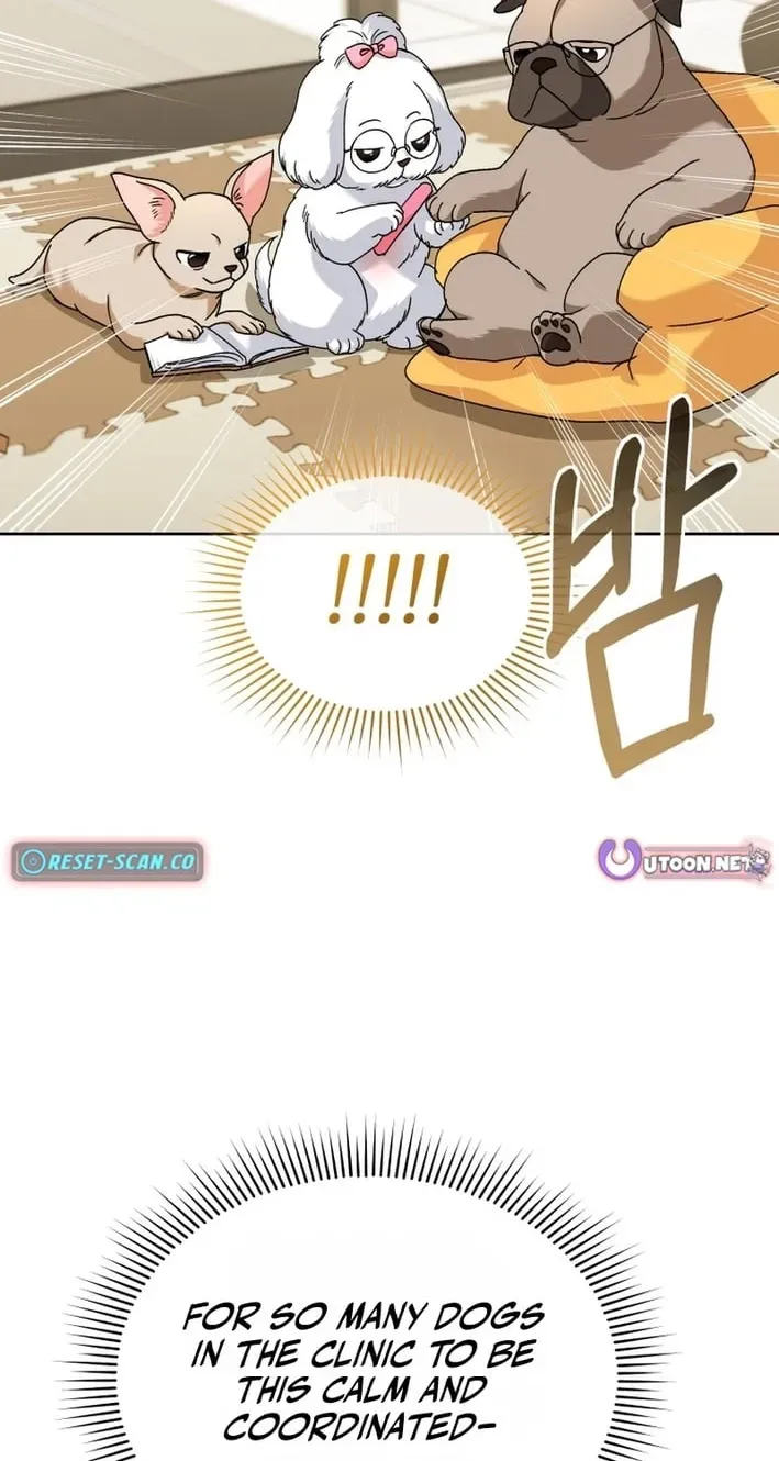 Read Hello, Mr. Veterinarian! chapter 136 image 29 on Lezhin