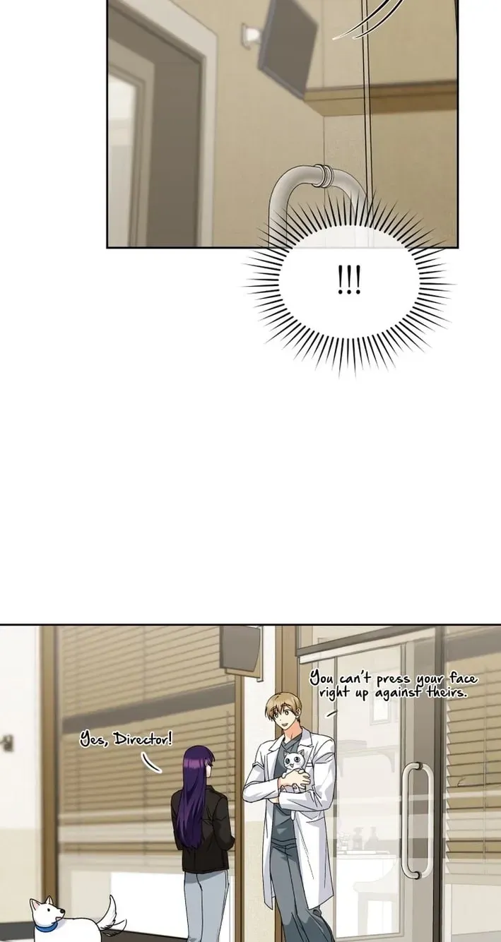 Read Hello, Mr. Veterinarian! chapter 136 image 33 on Lezhin