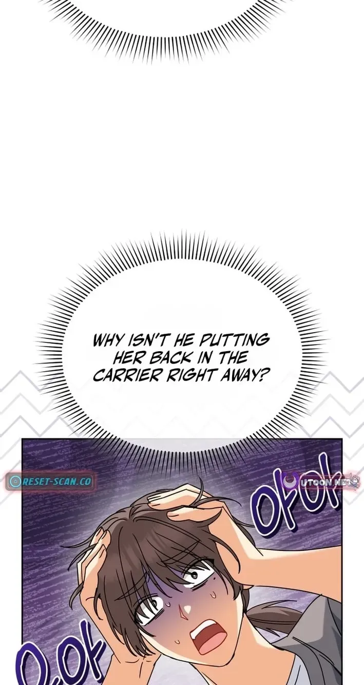 Read Hello, Mr. Veterinarian! chapter 136 image 39 on Lezhin