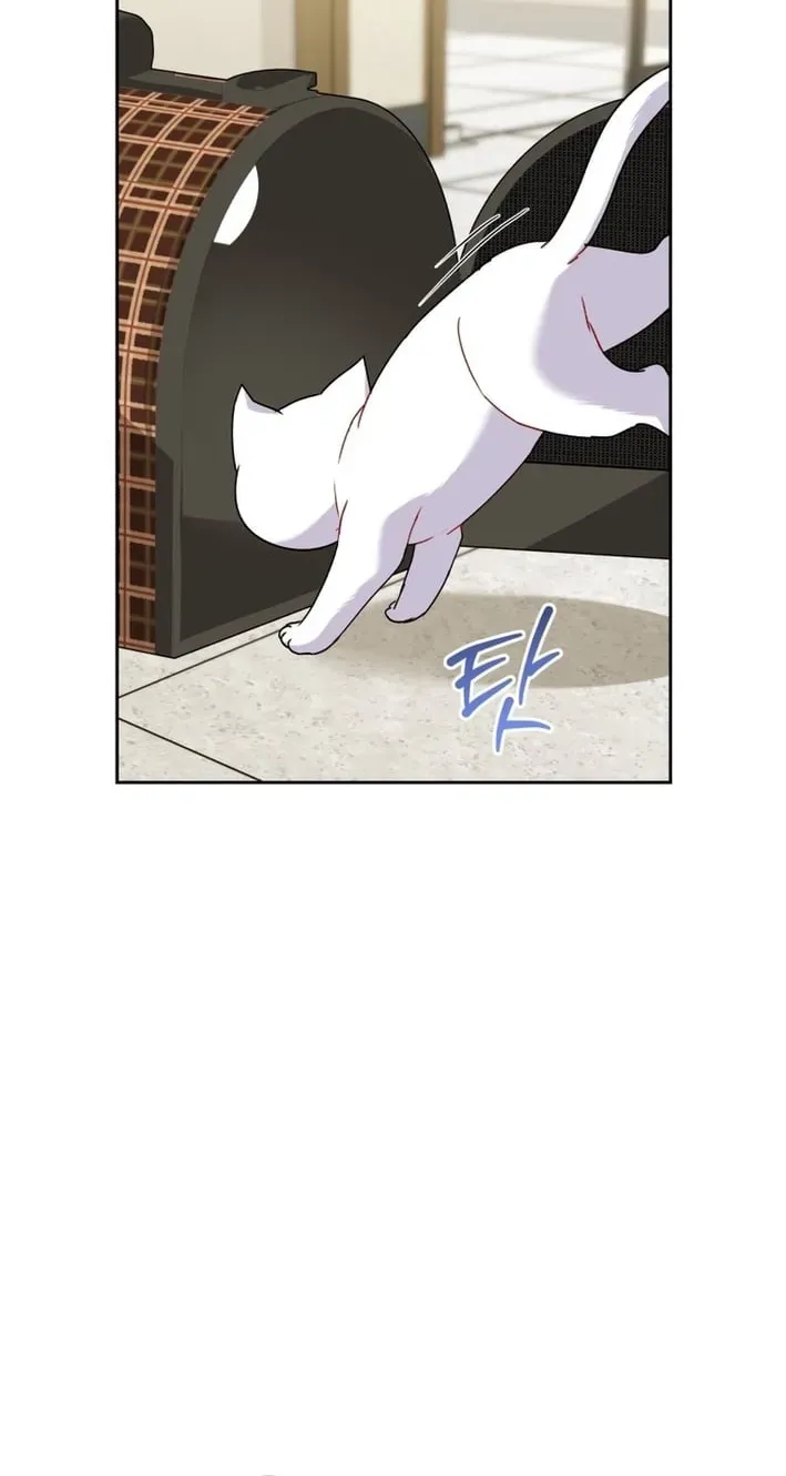 Read Hello, Mr. Veterinarian! chapter 136 image 47 on Lezhin