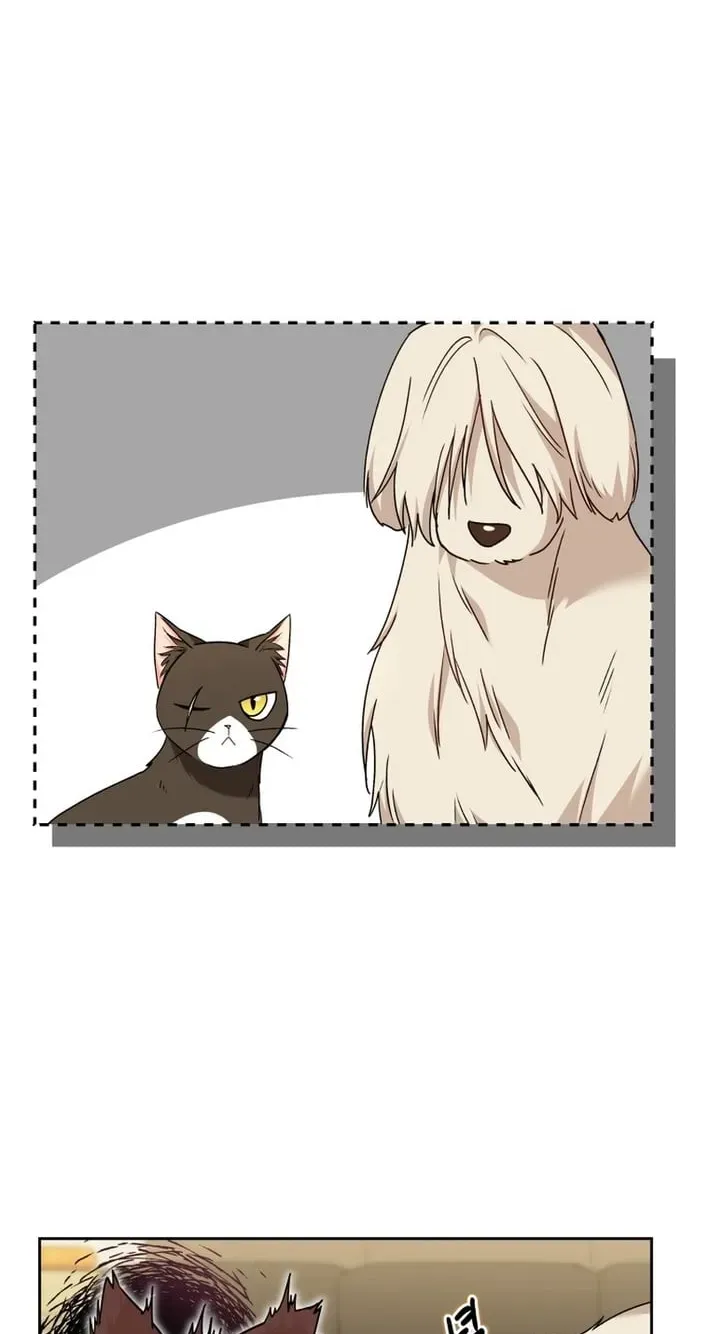 Read Hello, Mr. Veterinarian! chapter 136 image 80 on Lezhin