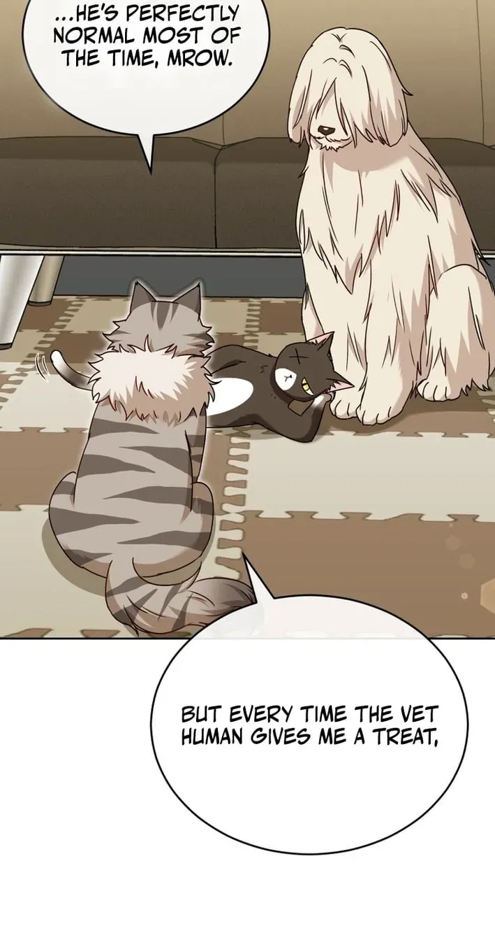 Read Hello, Mr. Veterinarian! chapter 136 image 84 on Lezhin