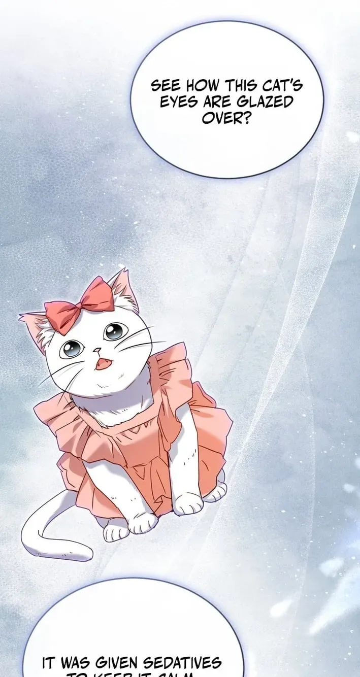 Read Hello, Mr. Veterinarian! chapter 136 image 9 on Lezhin