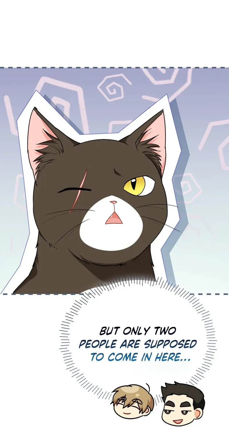 Read Hello, Mr. Veterinarian! chapter 137 image 106 on Lezhin
