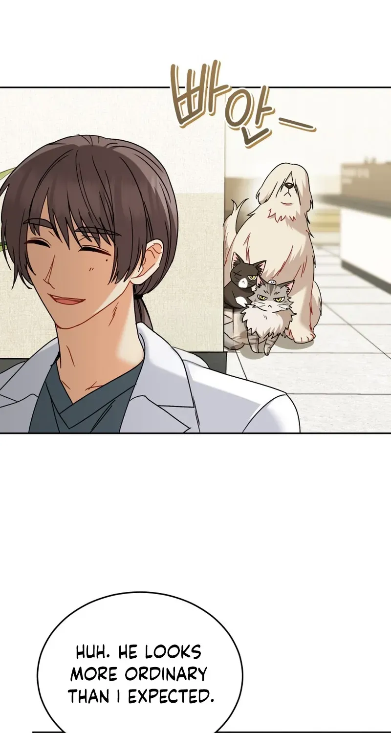 Read Hello, Mr. Veterinarian! chapter 137 image 12 on Lezhin