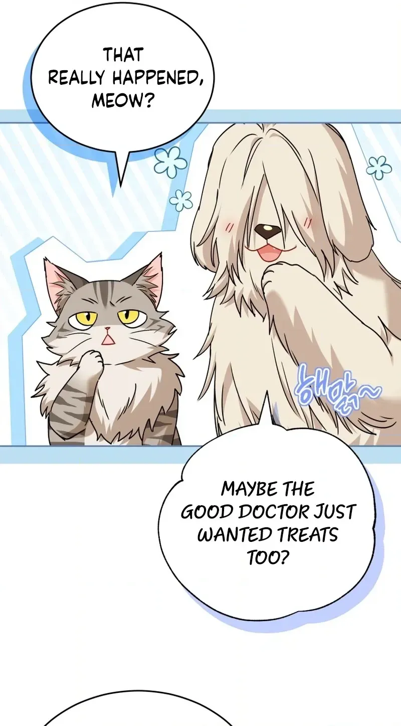 Read Hello, Mr. Veterinarian! chapter 137 image 28 on Lezhin