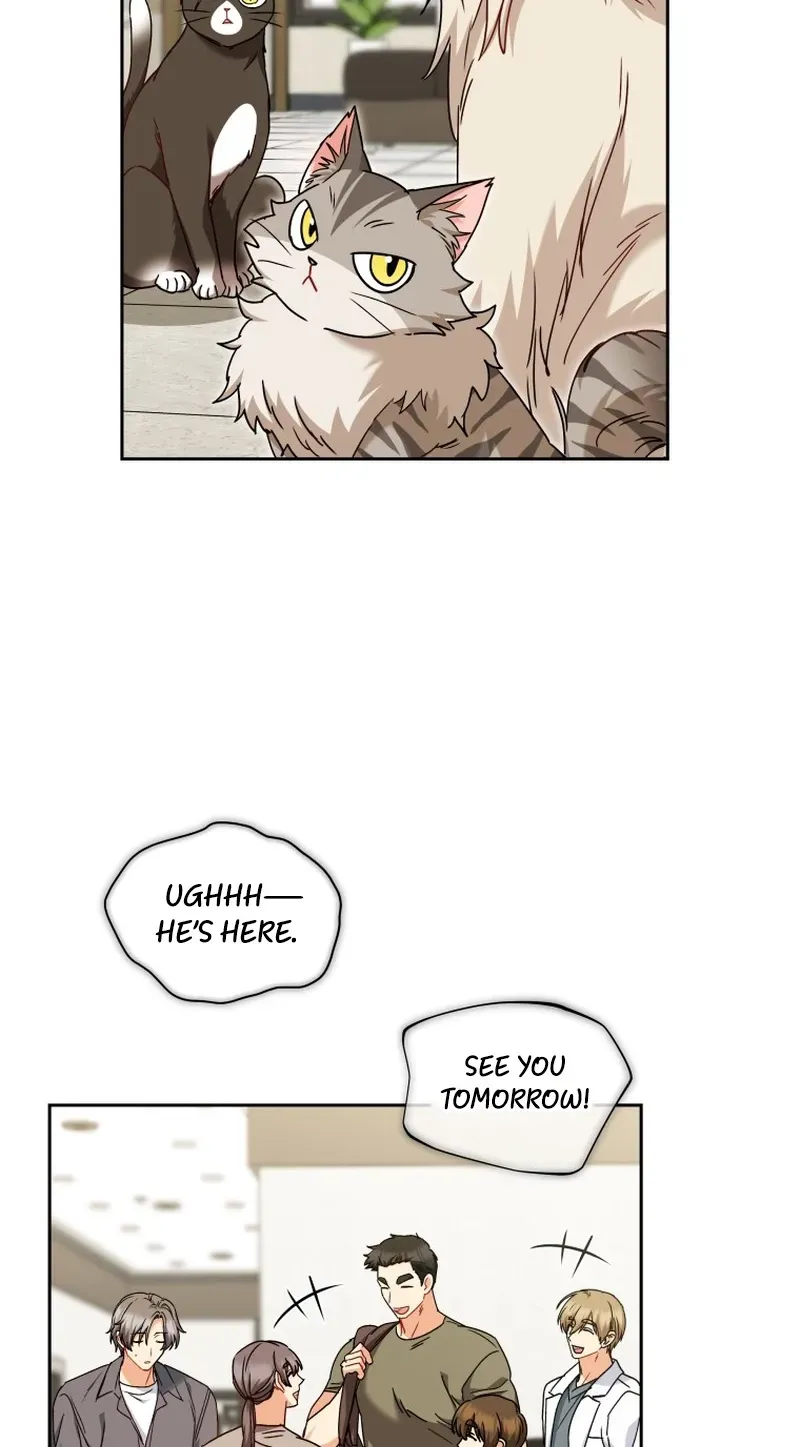 Read Hello, Mr. Veterinarian! chapter 137 image 31 on Lezhin