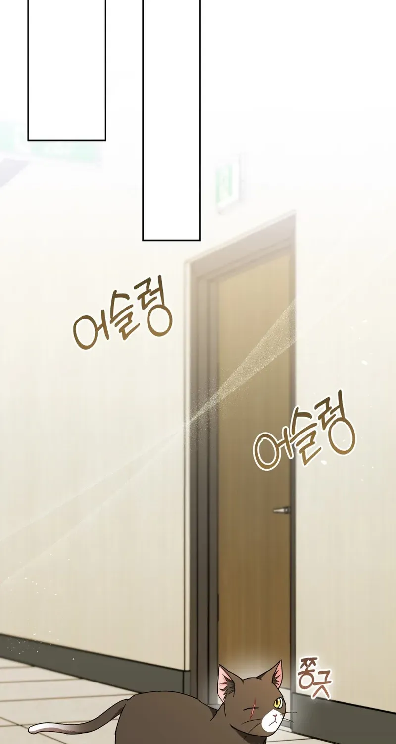 Read Hello, Mr. Veterinarian! chapter 137 image 84 on Lezhin