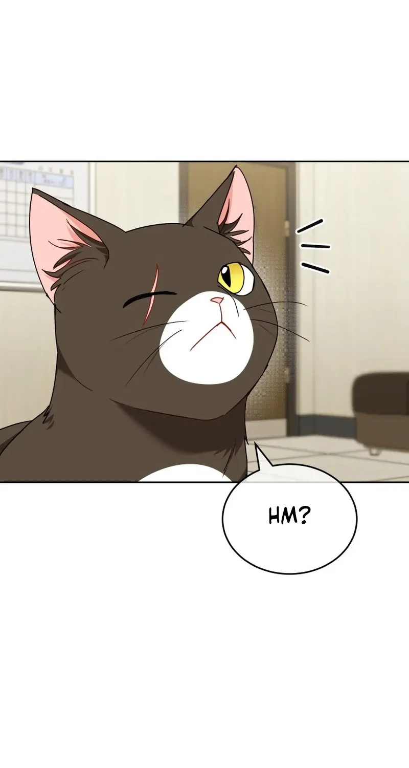 Read Hello, Mr. Veterinarian! chapter 137 image 92 on Lezhin