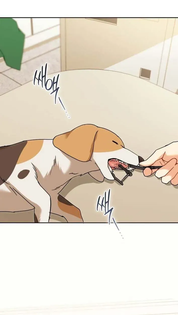 Read Hello, Mr. Veterinarian! chapter 138 image 10 on Lezhin