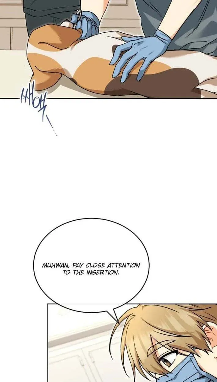 Read Hello, Mr. Veterinarian! chapter 138 image 12 on Lezhin