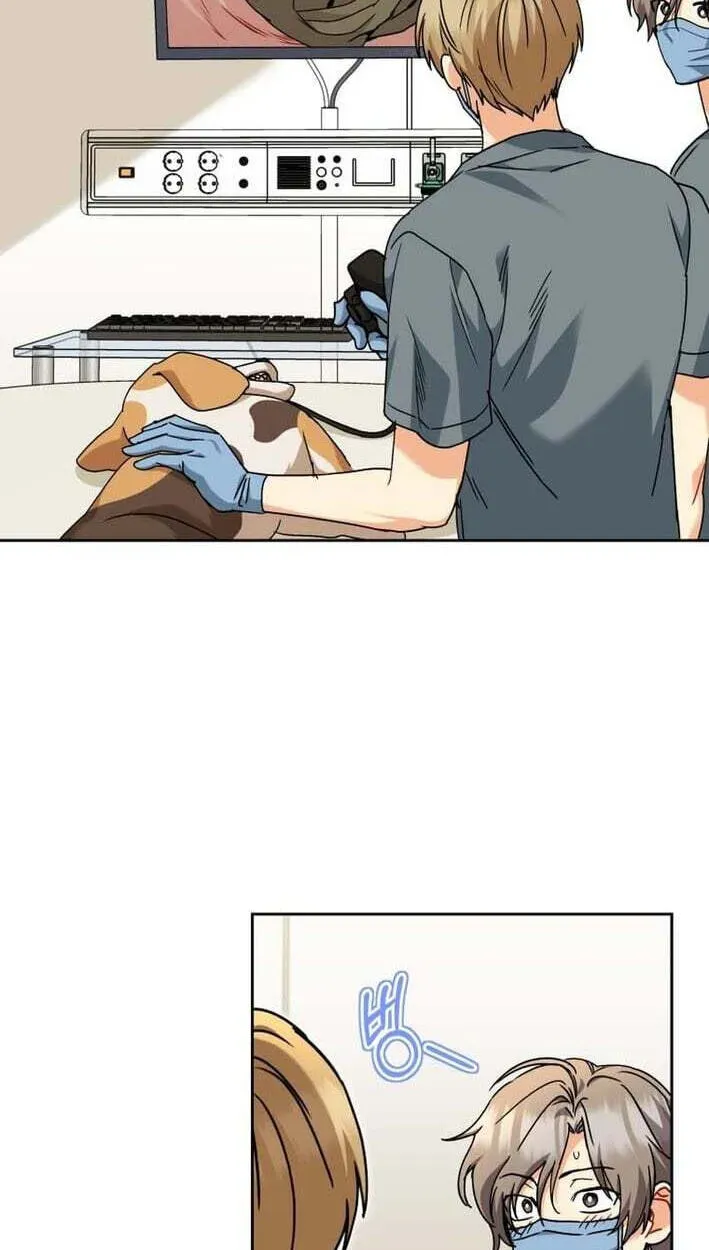 Read Hello, Mr. Veterinarian! chapter 138 image 20 on Lezhin