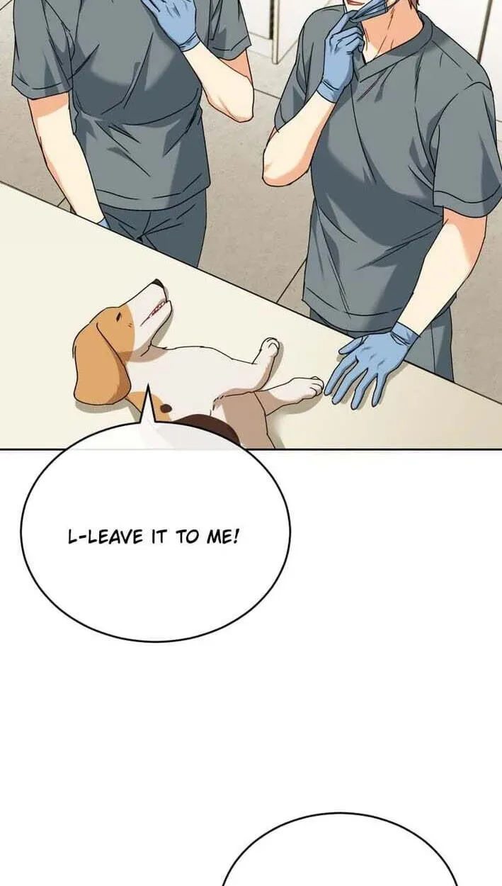 Read Hello, Mr. Veterinarian! chapter 138 image 26 on Lezhin