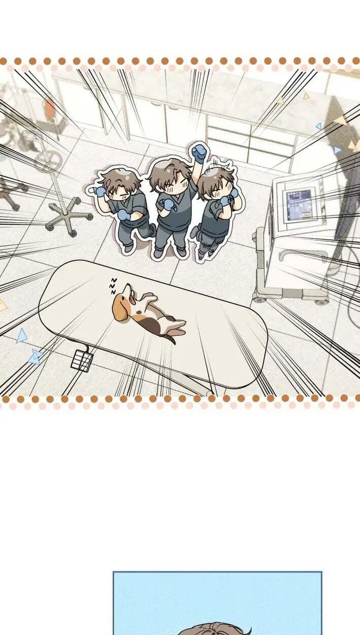 Read Hello, Mr. Veterinarian! chapter 138 image 31 on Lezhin