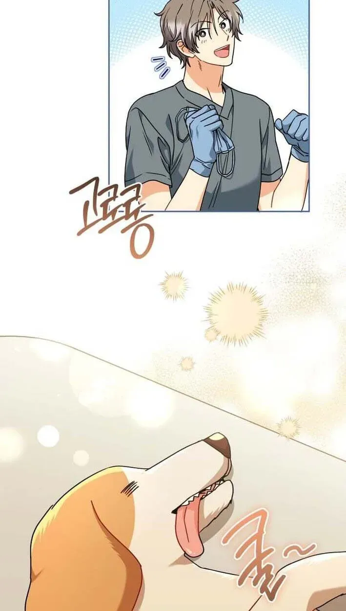 Read Hello, Mr. Veterinarian! chapter 138 image 32 on Lezhin
