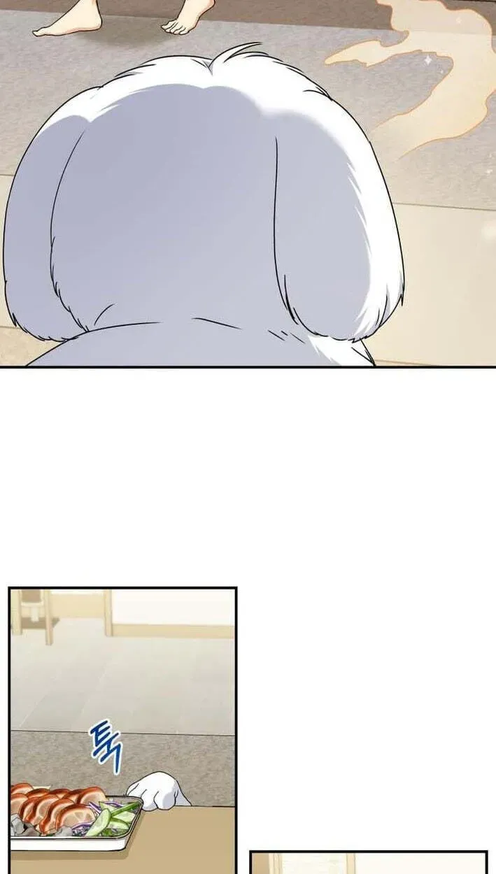 Read Hello, Mr. Veterinarian! chapter 138 image 44 on Lezhin