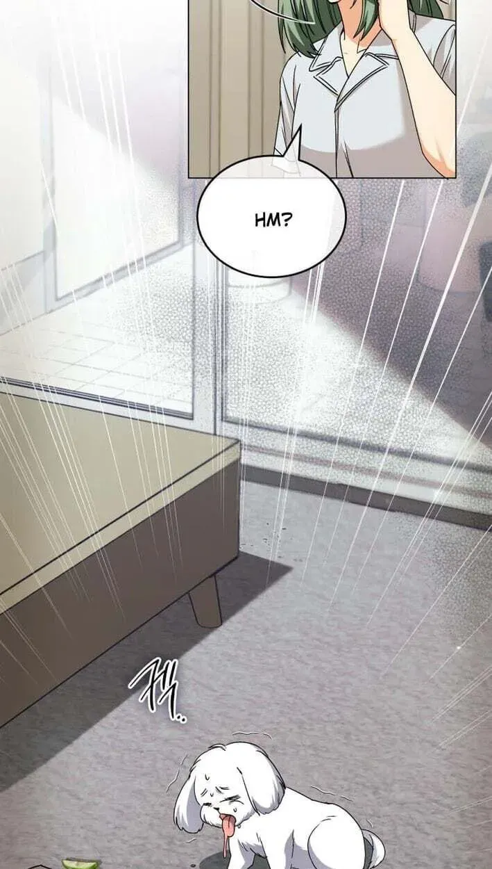 Read Hello, Mr. Veterinarian! chapter 138 image 47 on Lezhin