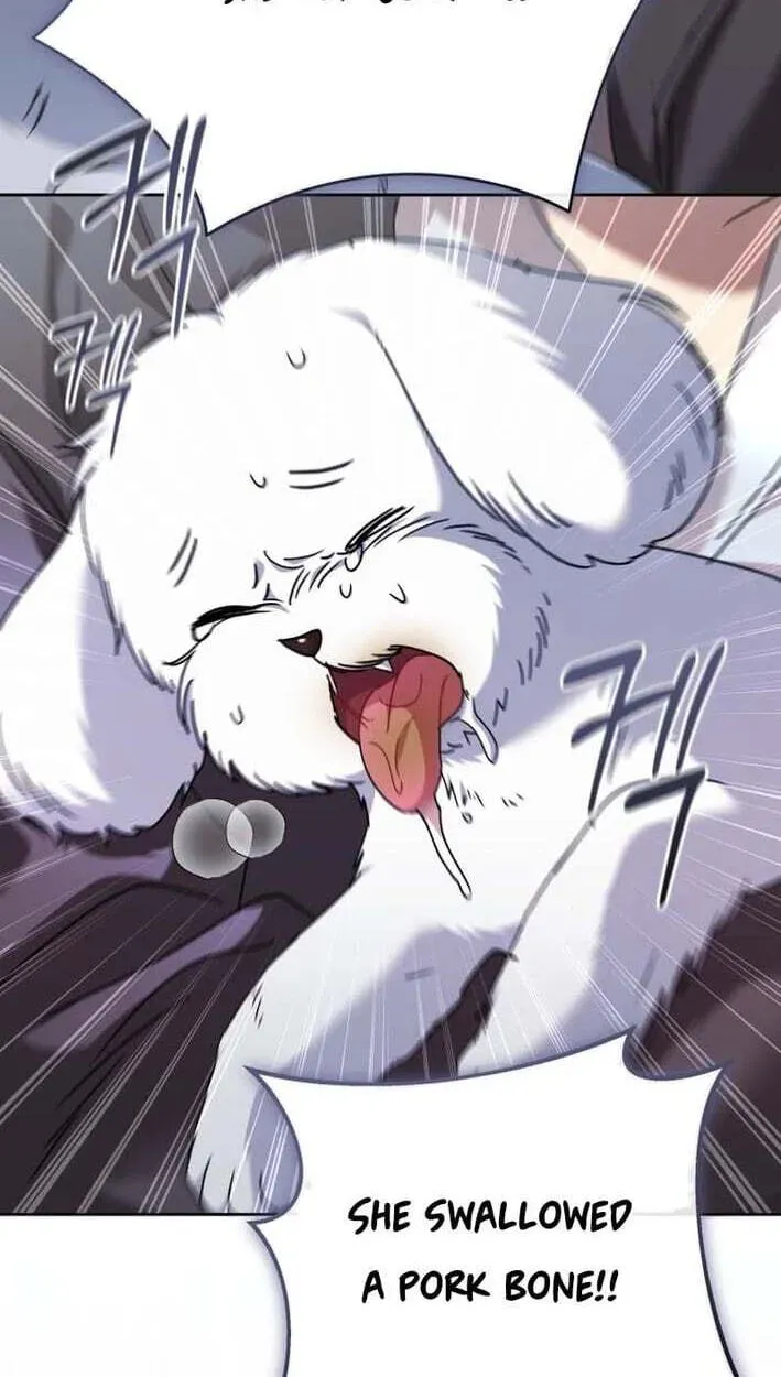 Read Hello, Mr. Veterinarian! chapter 138 image 53 on Lezhin