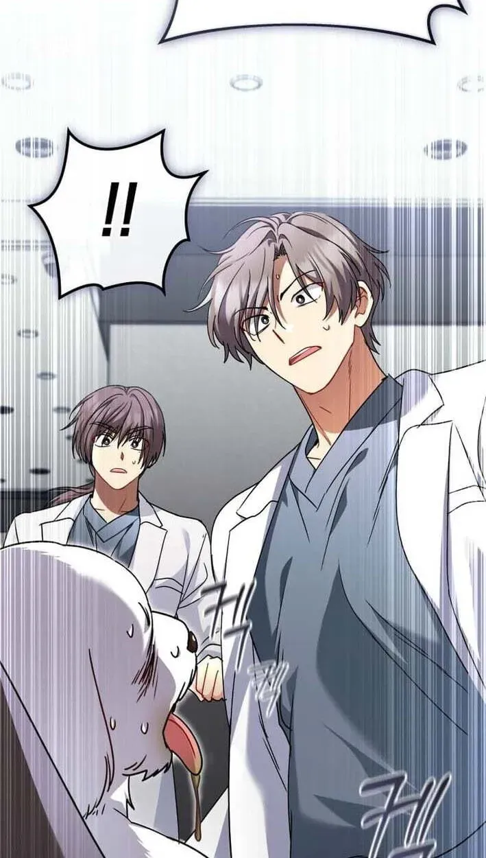 Read Hello, Mr. Veterinarian! chapter 138 image 54 on Lezhin