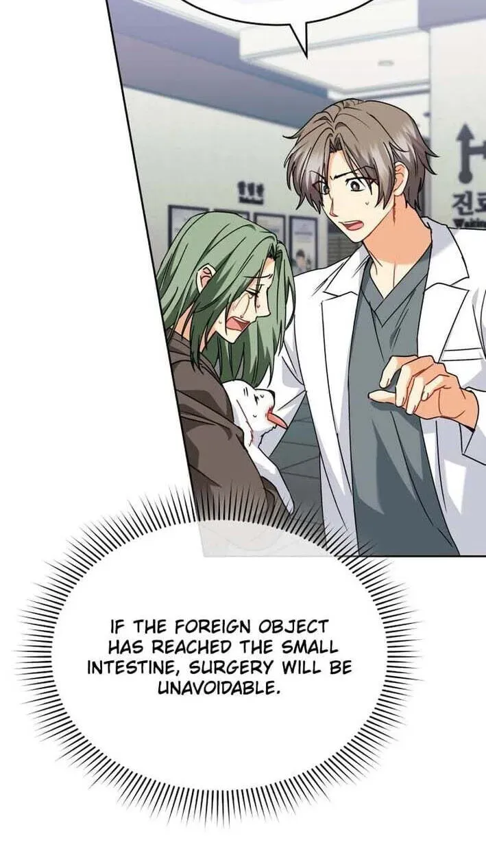 Read Hello, Mr. Veterinarian! chapter 138 image 56 on Lezhin