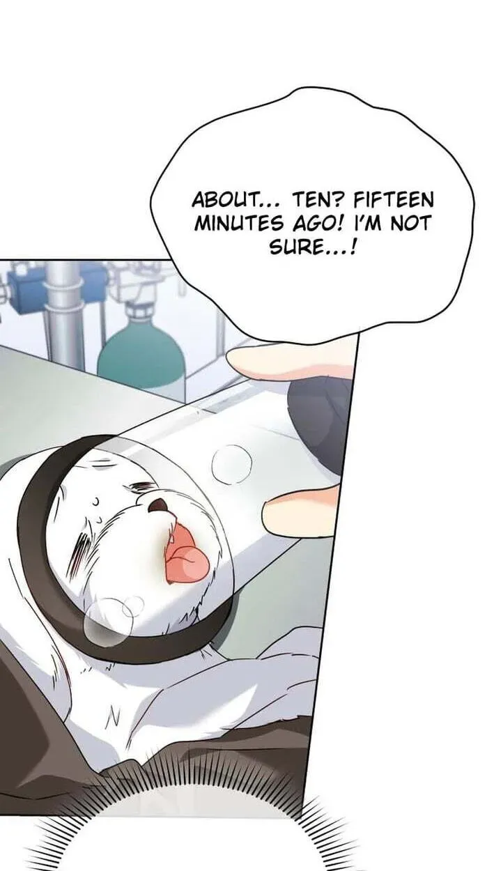 Read Hello, Mr. Veterinarian! chapter 138 image 57 on Lezhin