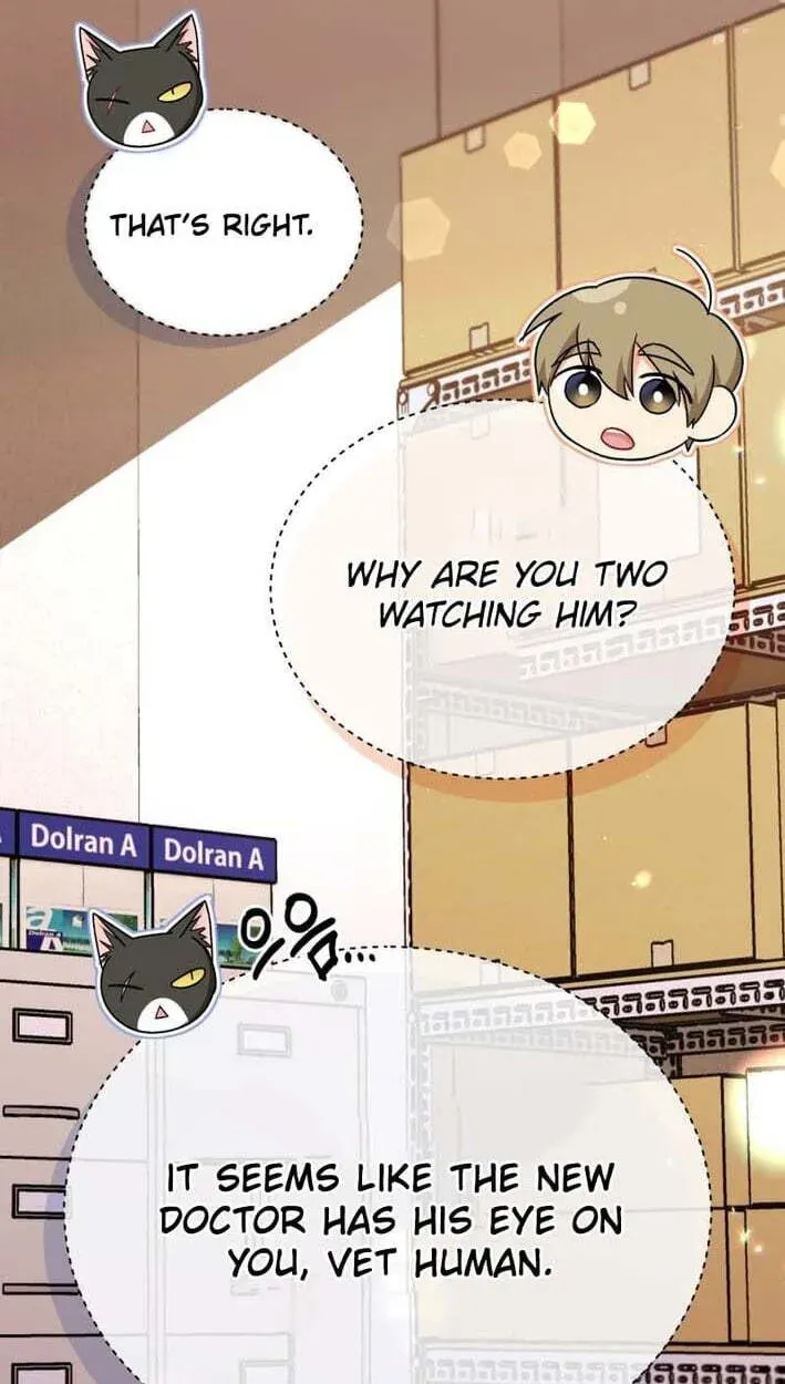 Read Hello, Mr. Veterinarian! chapter 138 image 6 on Lezhin