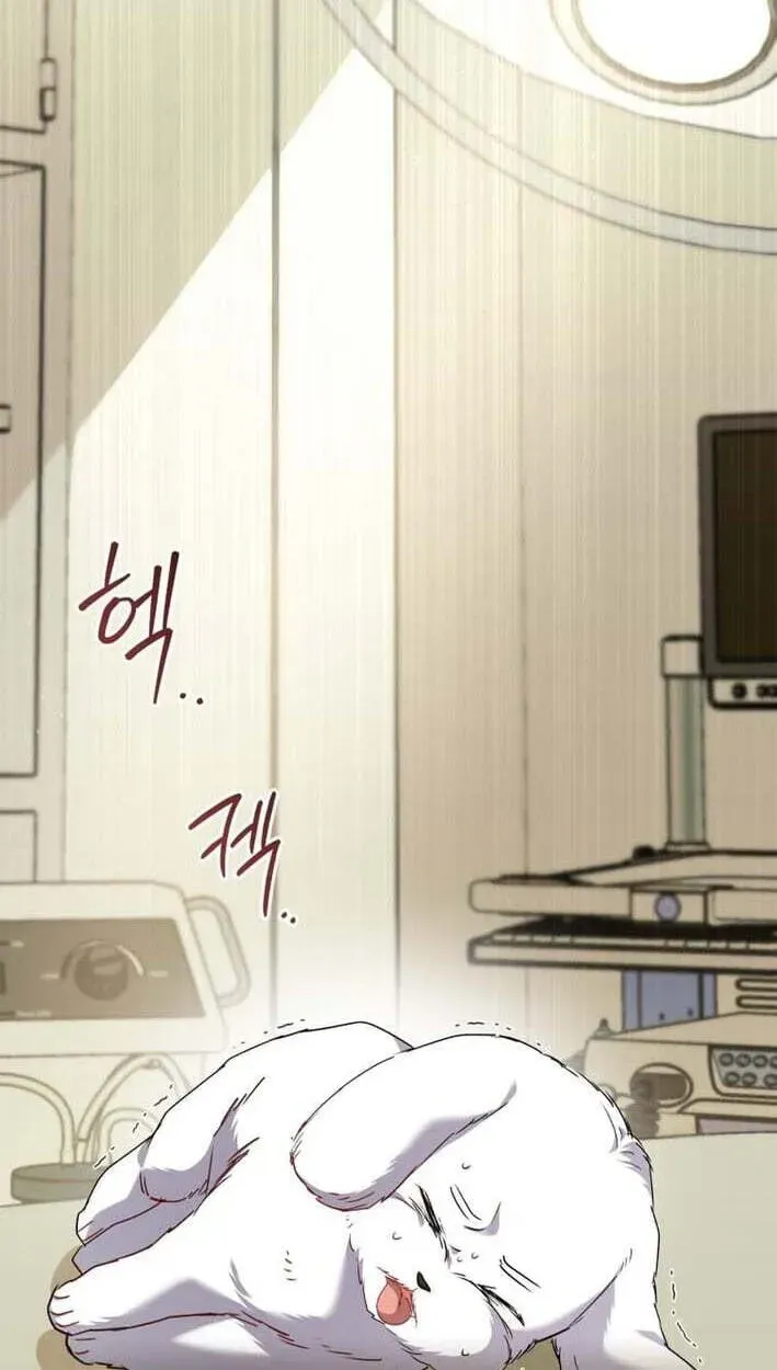 Read Hello, Mr. Veterinarian! chapter 138 image 64 on Lezhin
