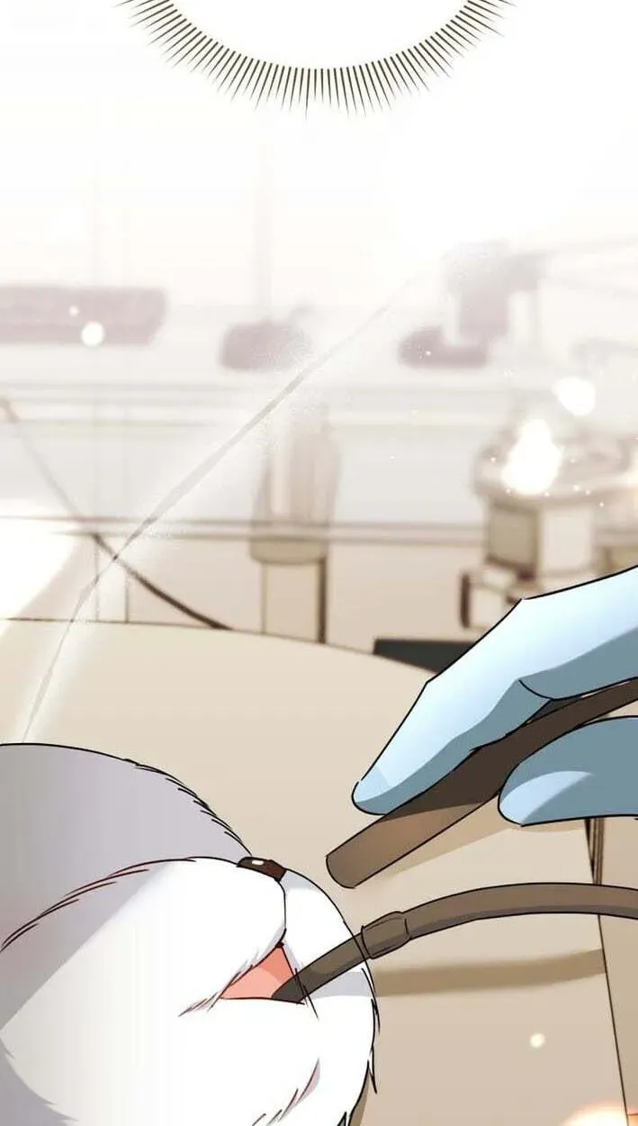 Read Hello, Mr. Veterinarian! chapter 138 image 70 on Lezhin