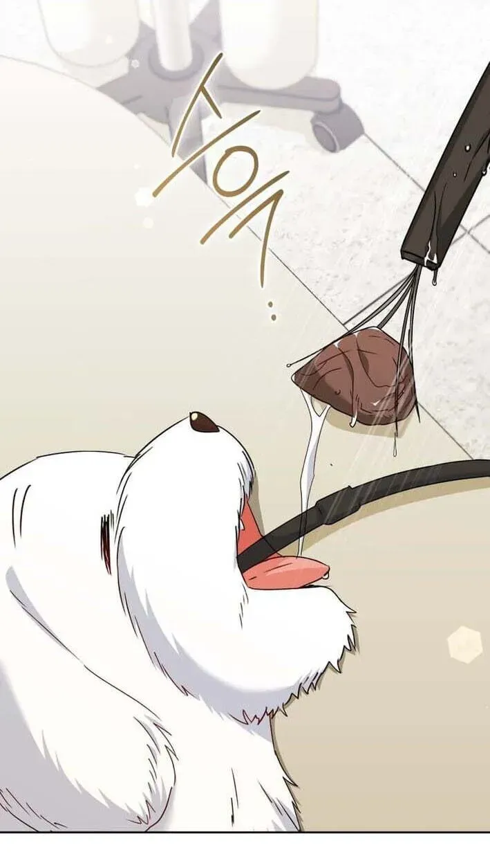 Read Hello, Mr. Veterinarian! chapter 138 image 78 on Lezhin