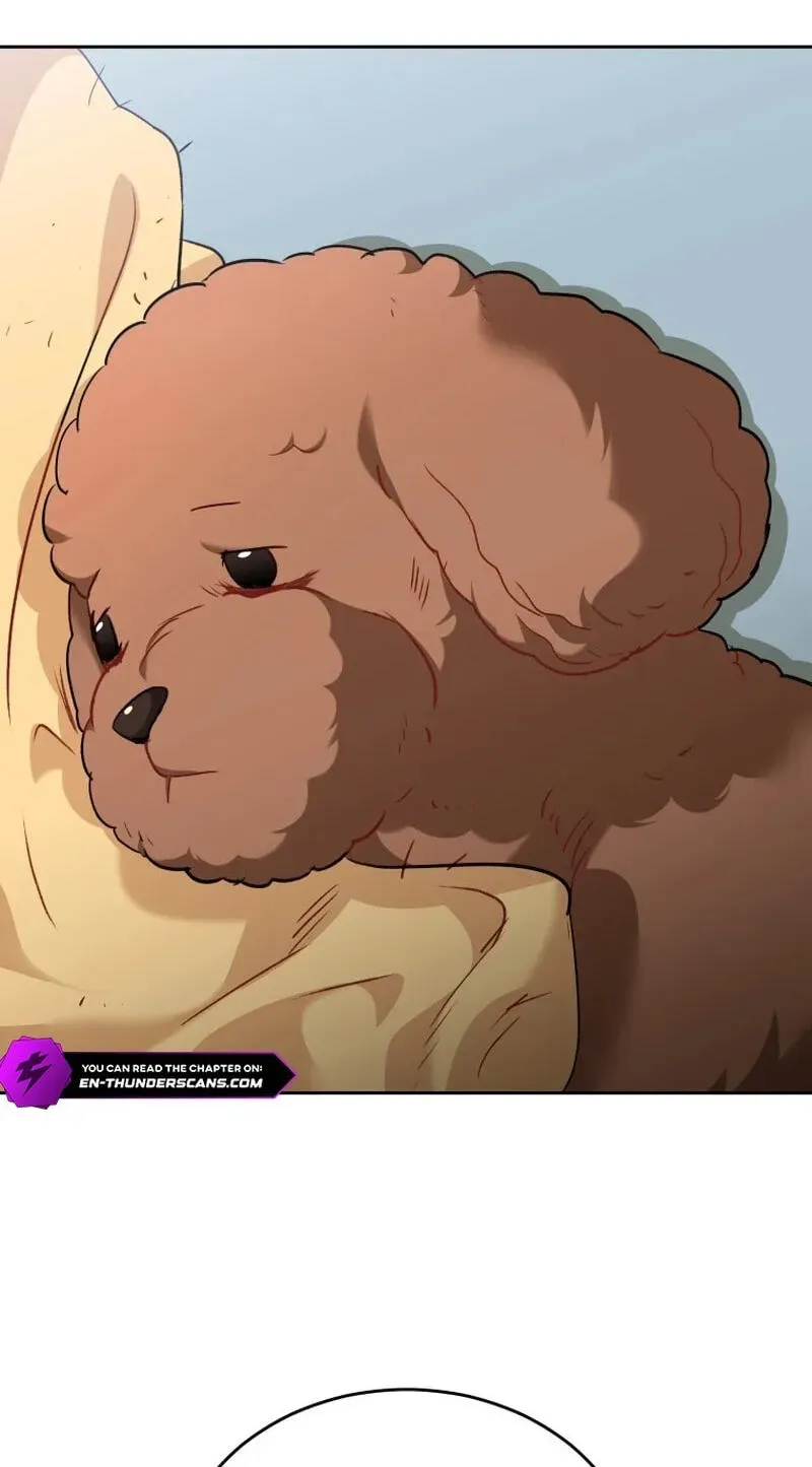 Read Hello, Mr. Veterinarian! chapter 139 image 1 on Lezhin