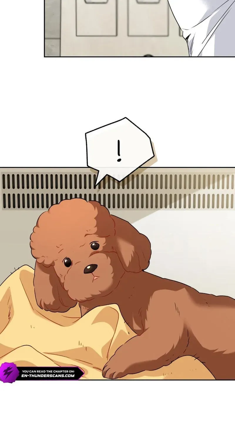 Read Hello, Mr. Veterinarian! chapter 139 image 10 on Lezhin