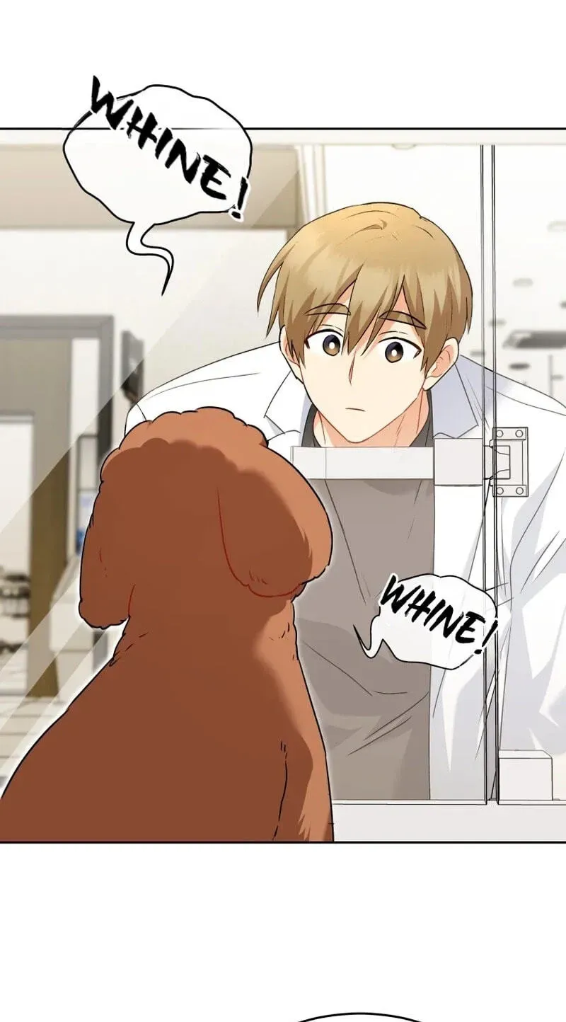 Read Hello, Mr. Veterinarian! chapter 139 image 11 on Lezhin